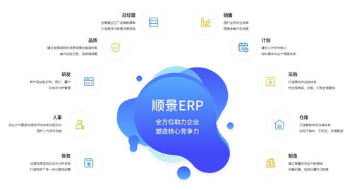 廣東順景軟件ERP系統在企業管理中的應用意義與軟件服務深度解析